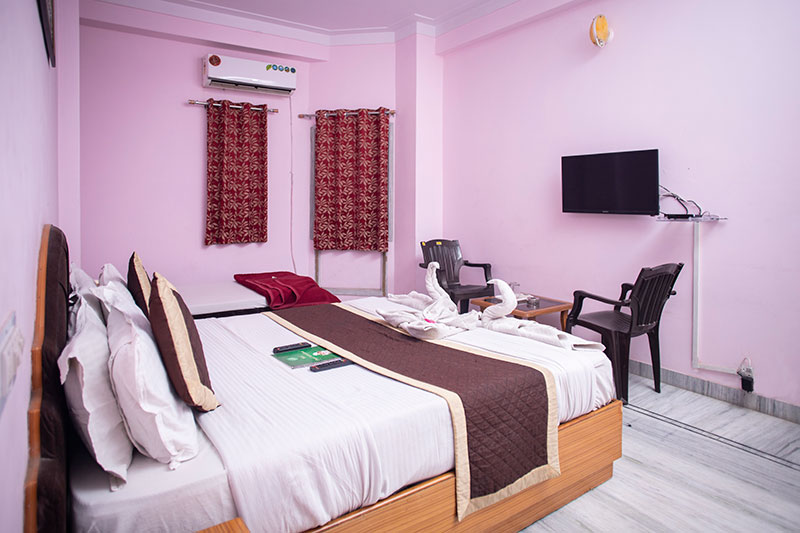 hotel Dimple International udaipur